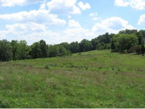 404 Fall Creek Road Kingsport, TN 37664 - Photo 1 of 8 Photo 1
