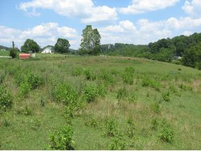 404 Fall Creek Road Kingsport, TN 37664 - Photo 8 of 8 Photo 8