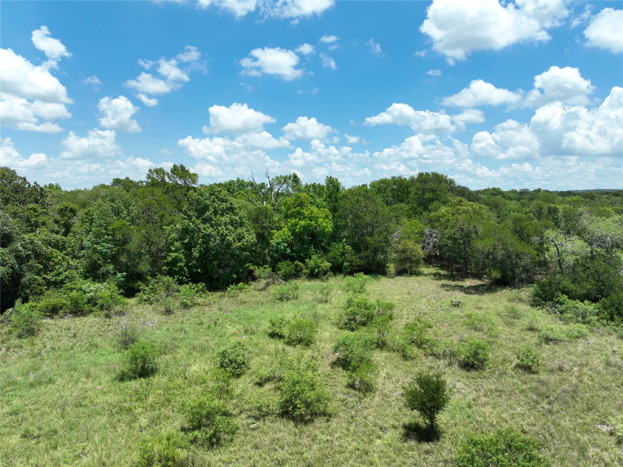Tbd Lot 4 Tbd Road Dale, TX 78616 - Photo 2 of 24 View of woods