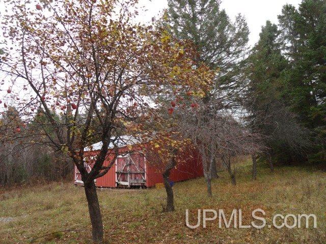 24494 L P Walsh Road White Pine, MI 49971 - Photo 15 of 28