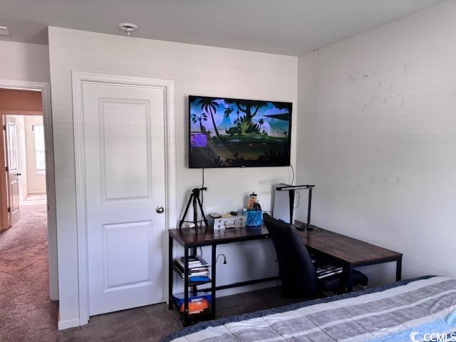 430 Stevia Court Conway, SC 29526 - Photo 26 of 40