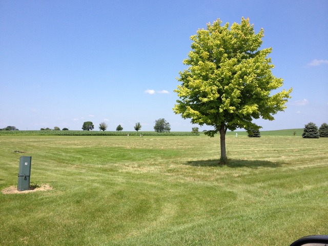 Lot 1 Lincoln Road Genoa, IL 60135 - Photo 3 of 3 a view of a garden with a tree