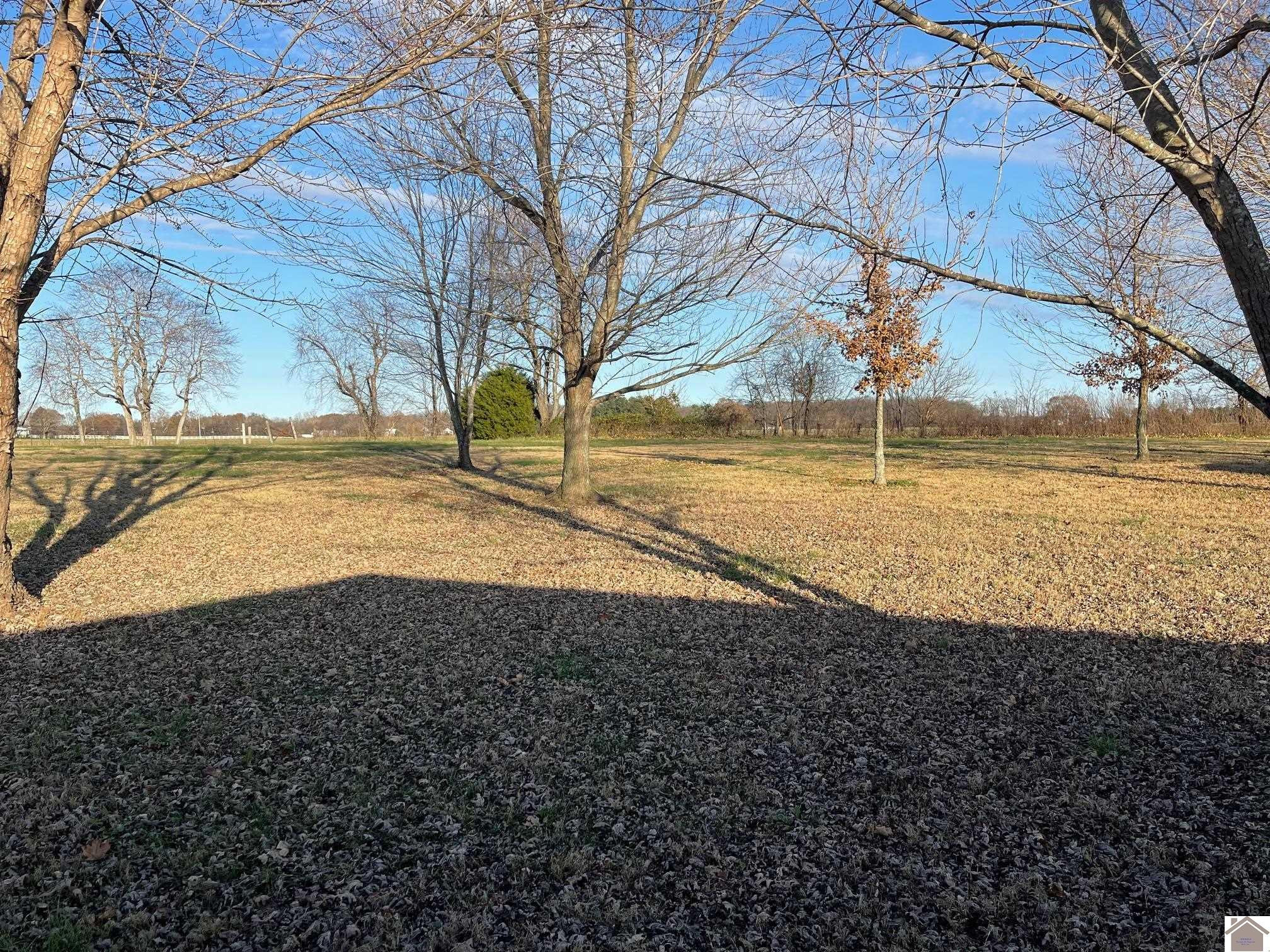 5280 Kirksey Road Kirksey, KY 42054 - Photo 17 of 18 Photo 17