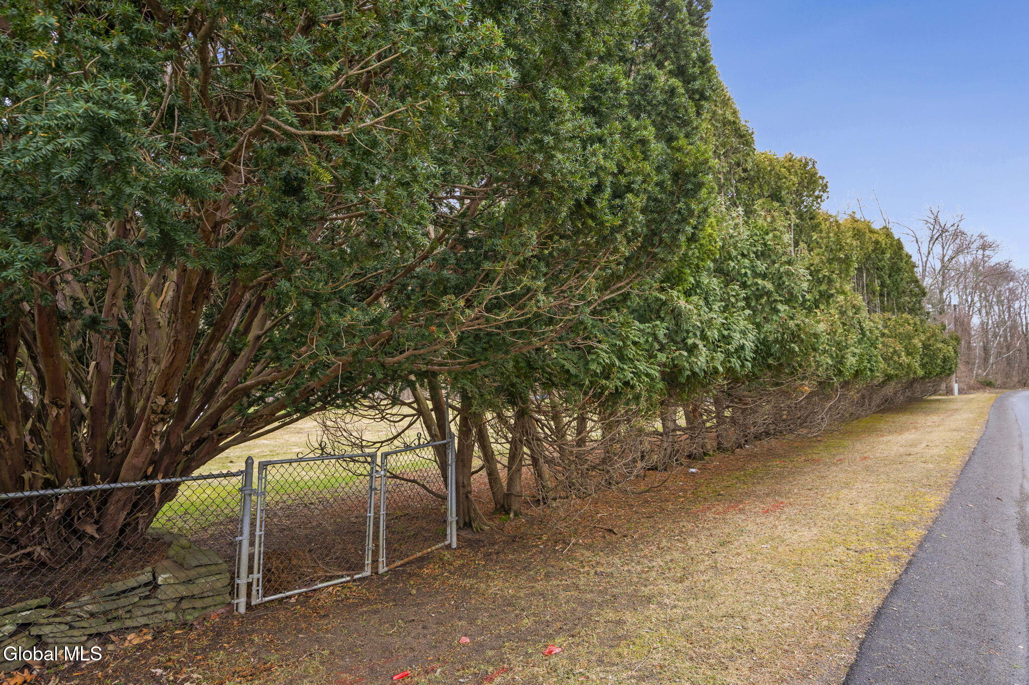 1021 Dunnsville Road Rotterdam, NY 12306 - Photo 38 of 42 38