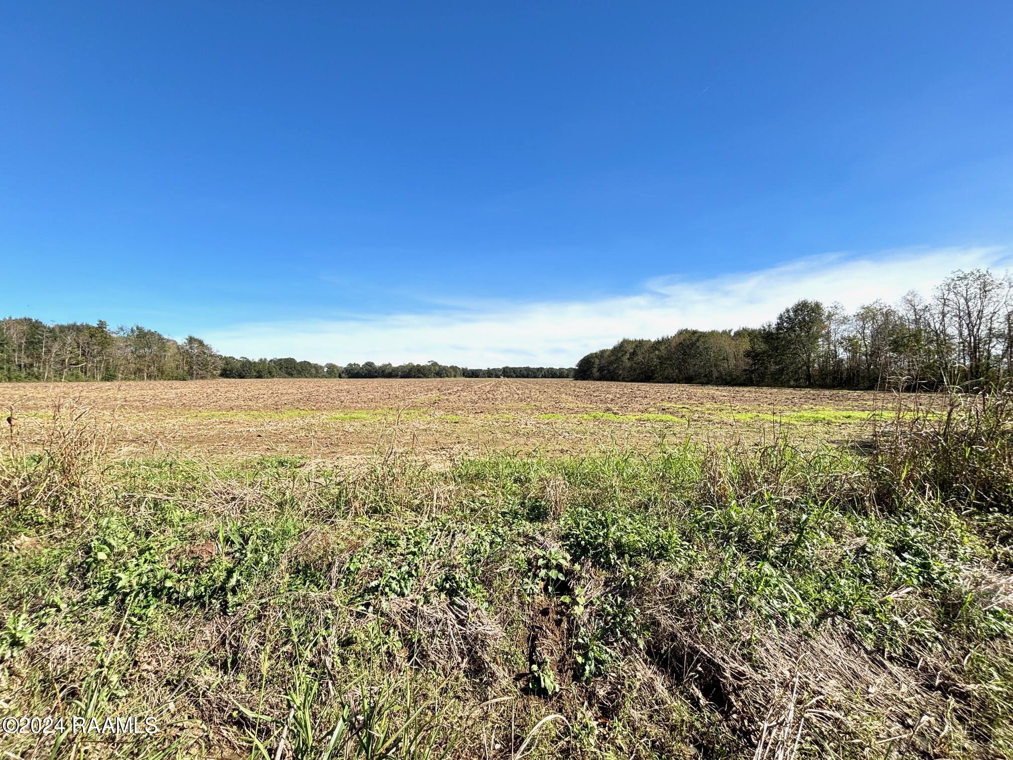 8.37 Acres - Tract 4