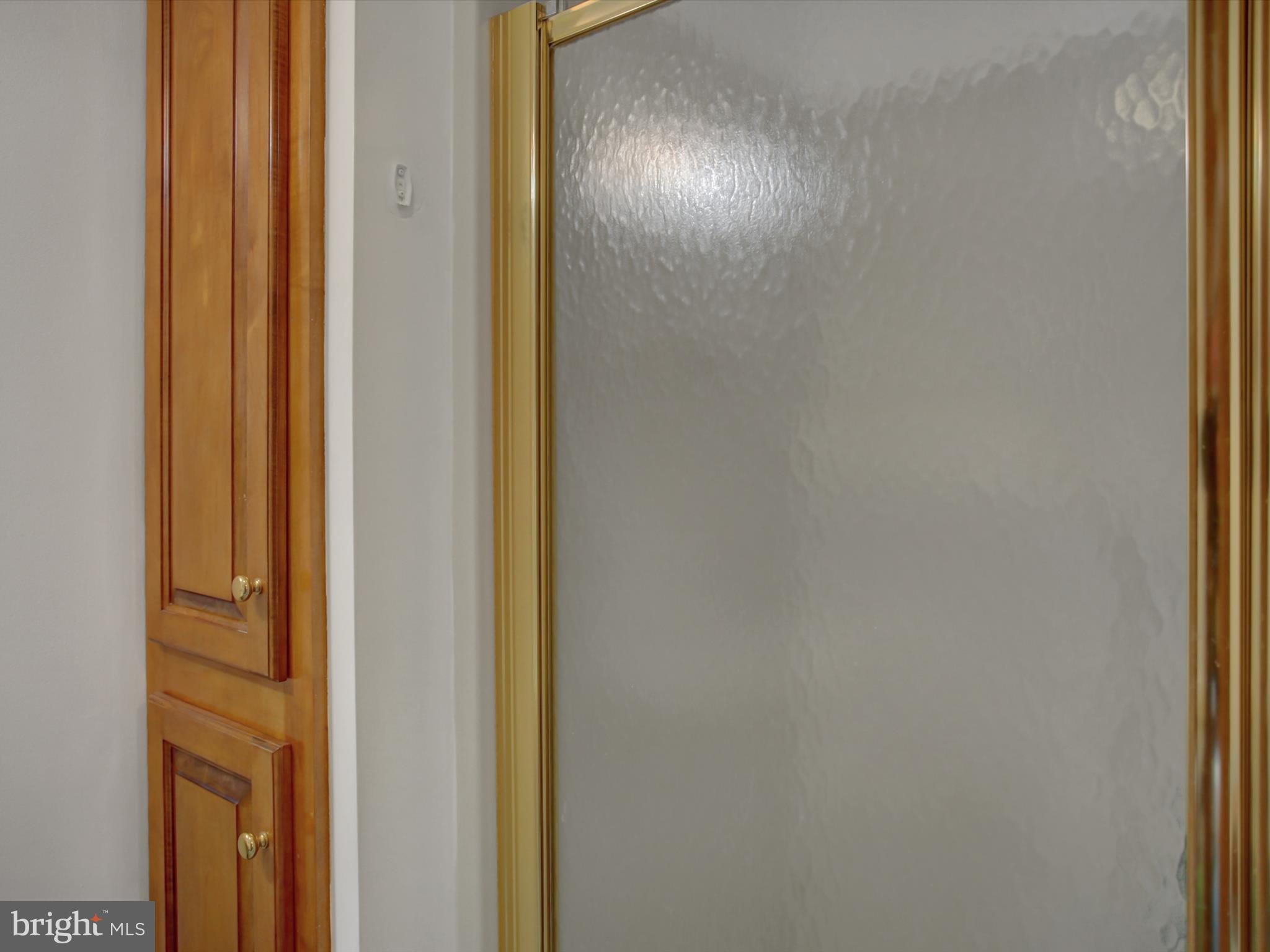 208 Hamilton Avenue Waynesboro, PA 17268 - Photo 21 of 54 Lower level walk in shower with built in cabinet