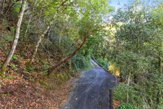 a view of a pathway both side of yard