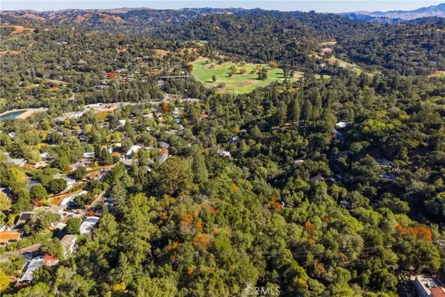 a view of a large yard with lots of trees