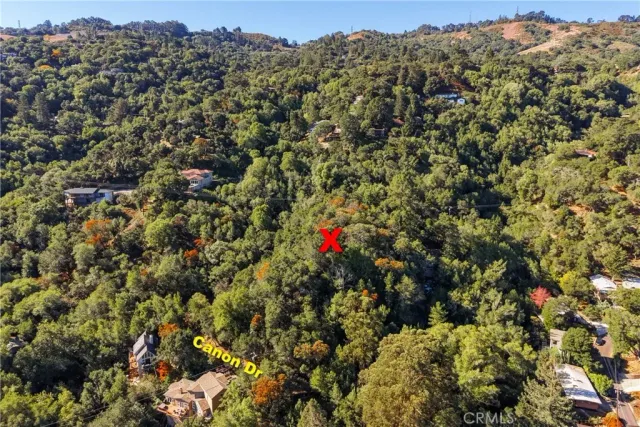 a view of a yard with a tree