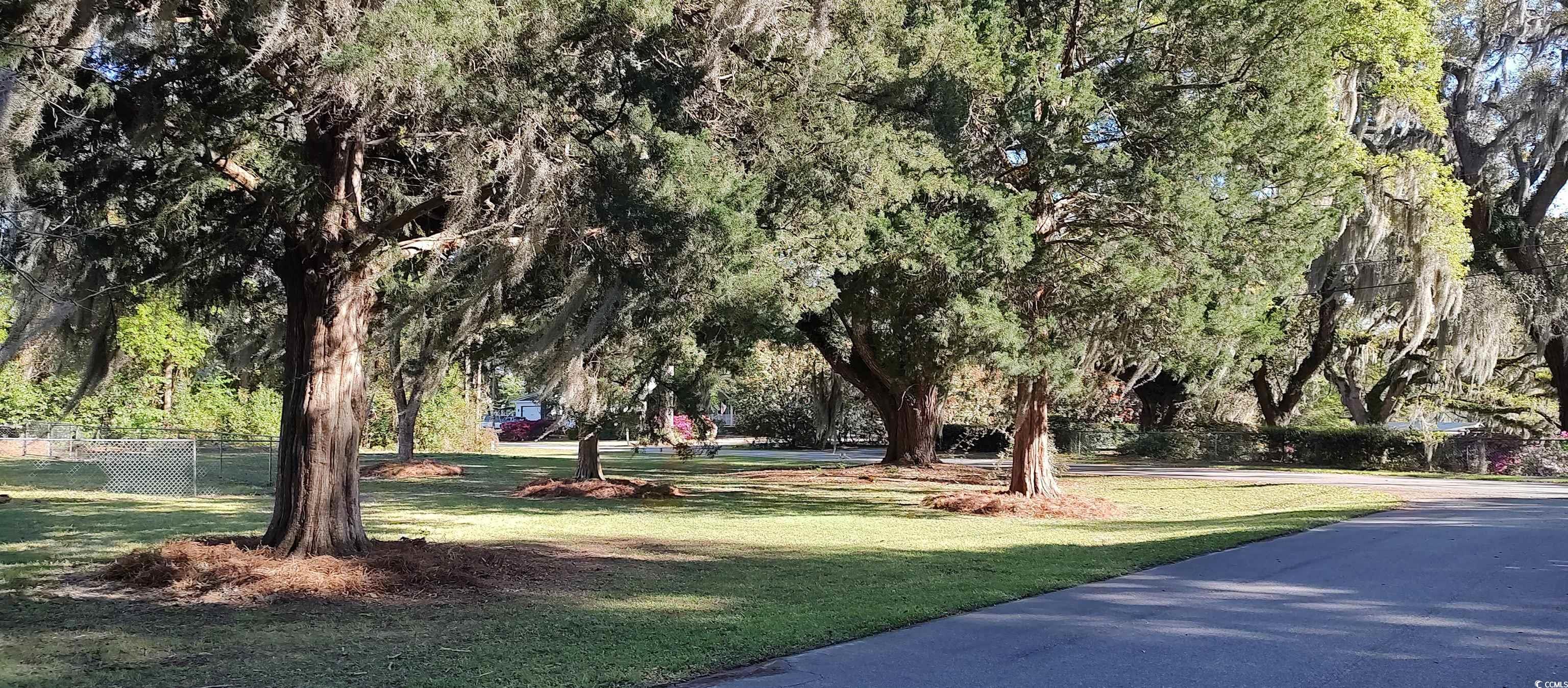 26 County Rd S-22-683 Georgetown, SC 29440 - Photo 7 of 20