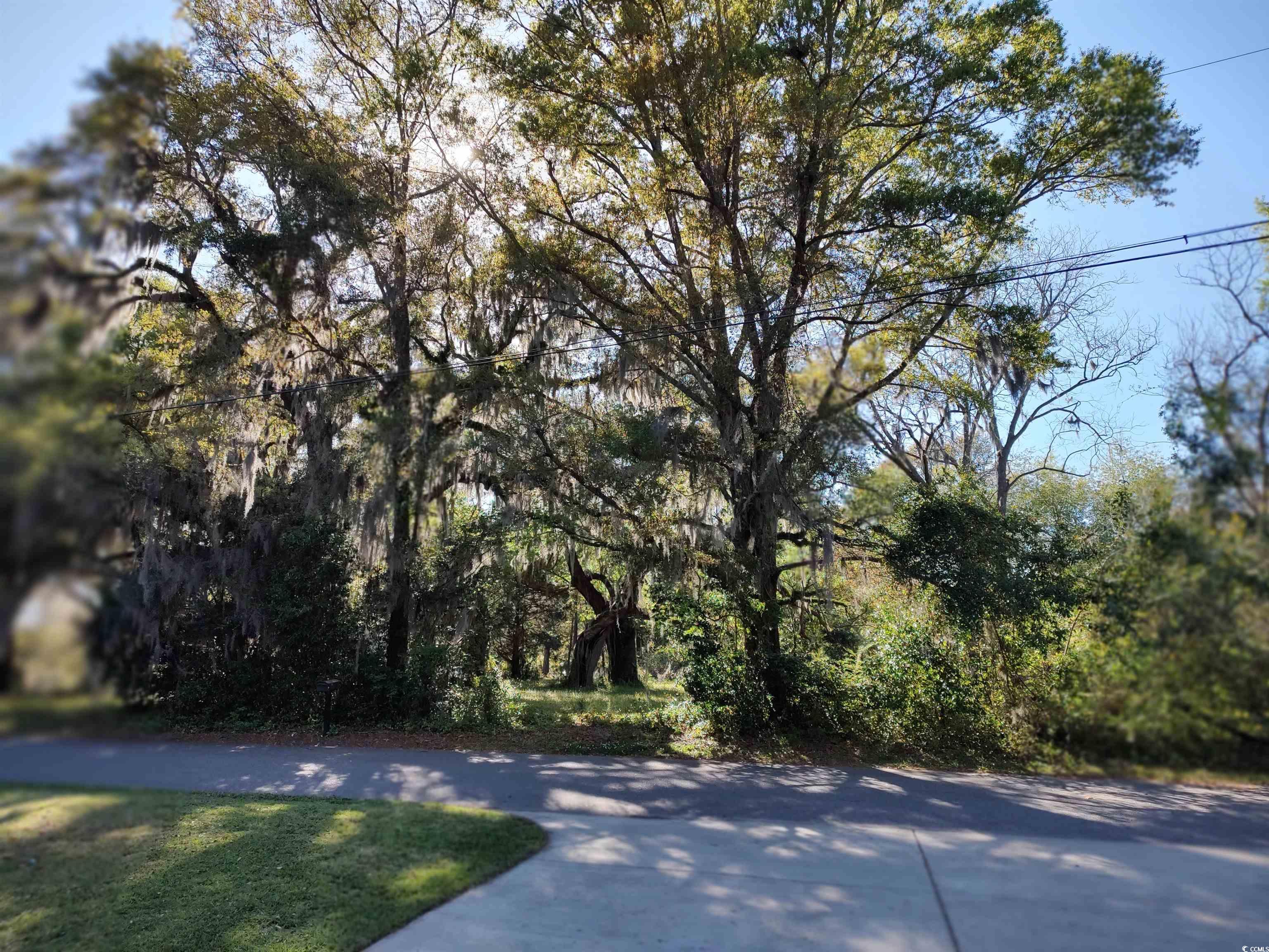 26 County Rd S-22-683 Georgetown, SC 29440 - Photo 8 of 20