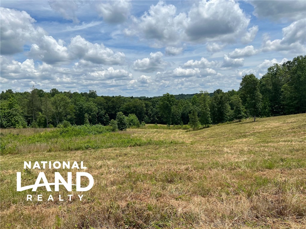 0 Quarter Round Road, Unit A Pacolet, SC 29372 - Photo 3 of 9 Gallery Image 3