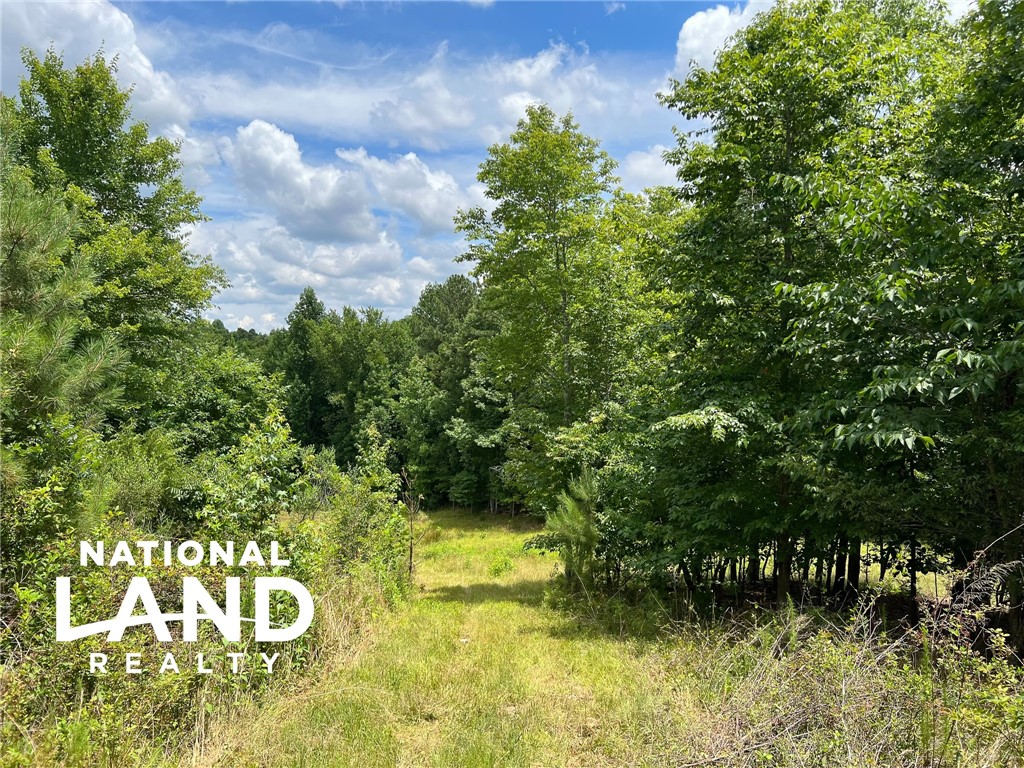 0 Quarter Round Road, Unit A Pacolet, SC 29372 - Photo 4 of 9 Gallery Image 4