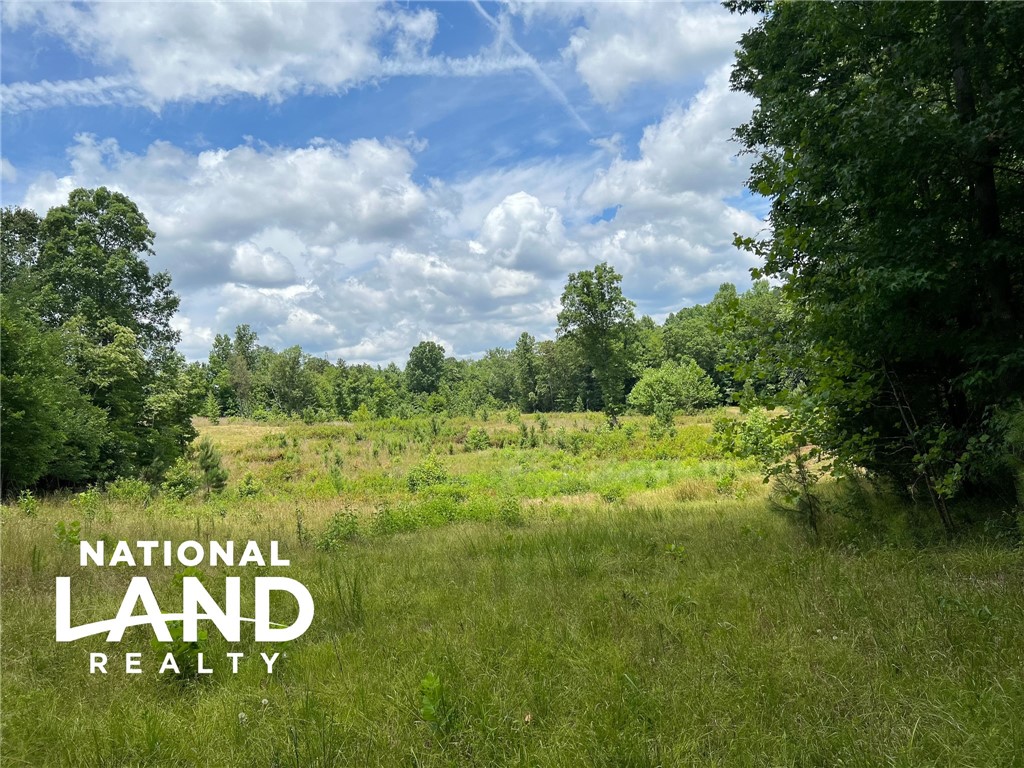 0 Quarter Round Road, Unit A Pacolet, SC 29372 - Photo 6 of 9 Gallery Image 6