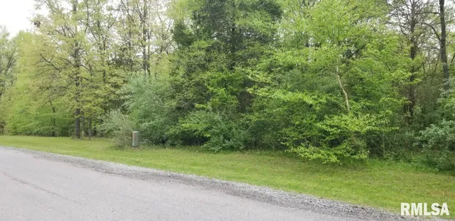 $23,000 | Lot 82-83 Saluki Way, Goreville, IL 62939