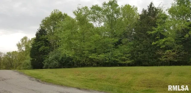 $23,000 | Lot 82-83 Saluki Way, Goreville, IL 62939
