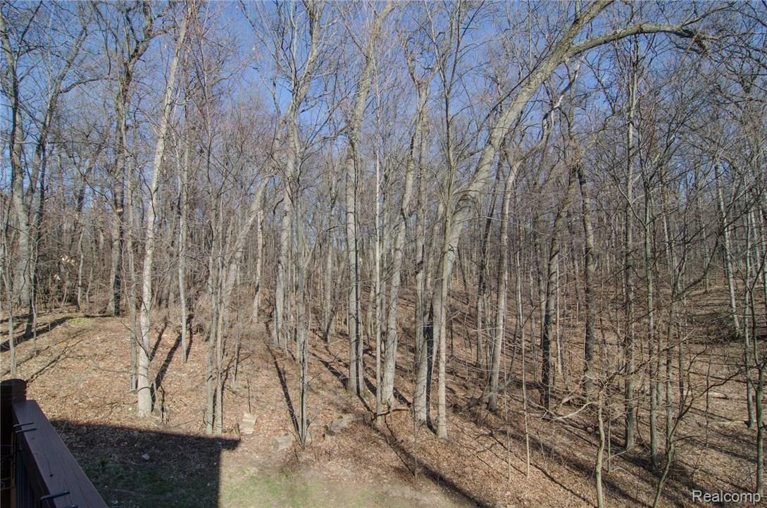491 Timbermill Lane Howell, MI 48843 - Photo 36 of 39 GRU_8064.jpg