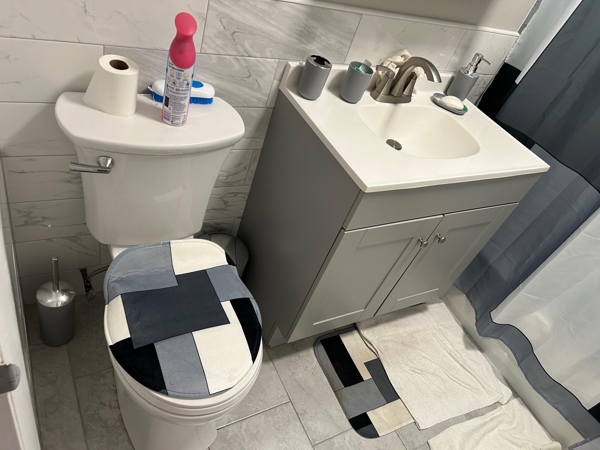 2 Secora Road, Unit C20 Monsey, NY 10952 - Photo 30 of 34 a bathroom with a sink and mirror with toilet