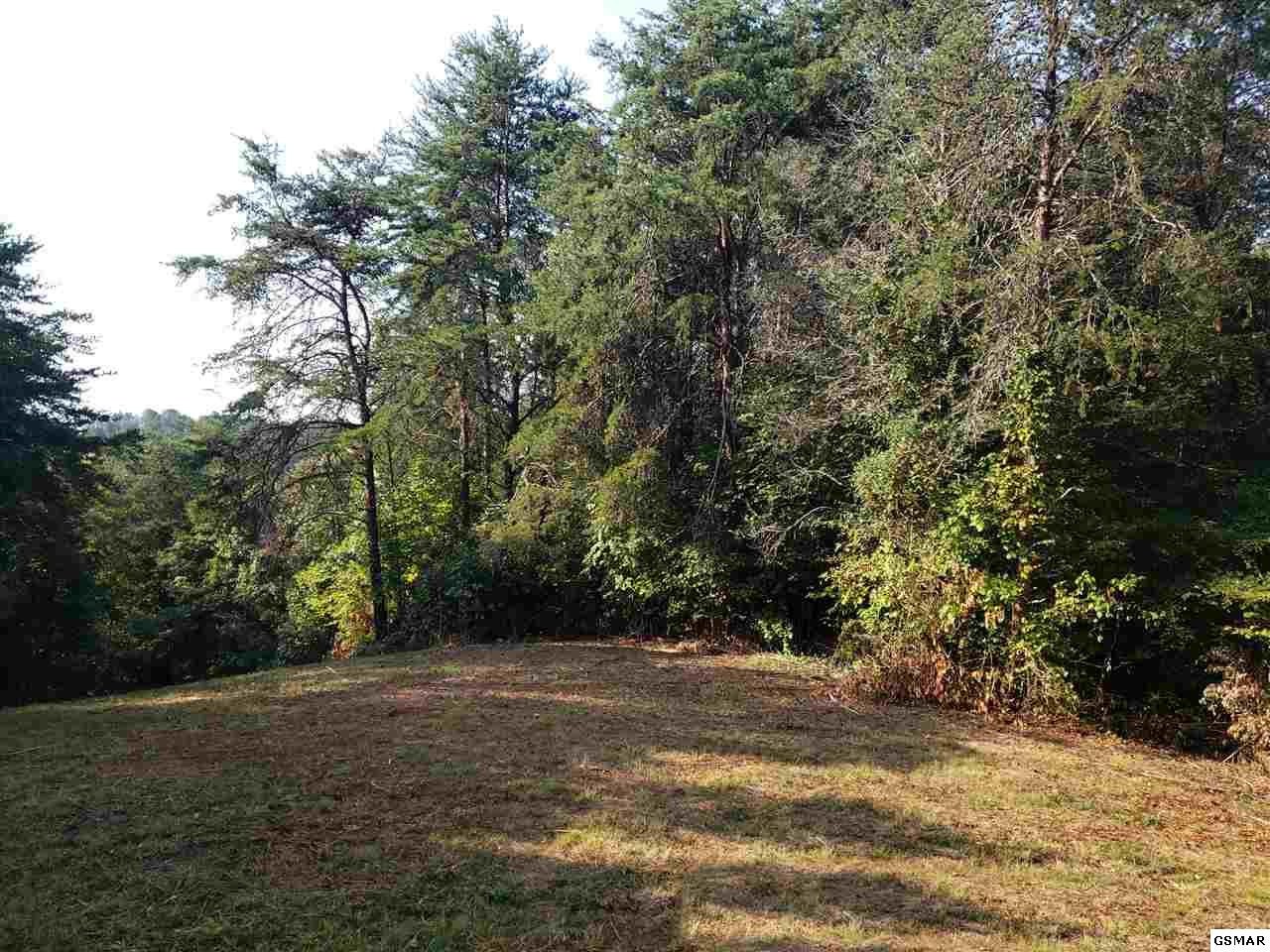 807 Smith School Road Kodak, TN 37764 - Photo 5 of 23 Gallery Image 5