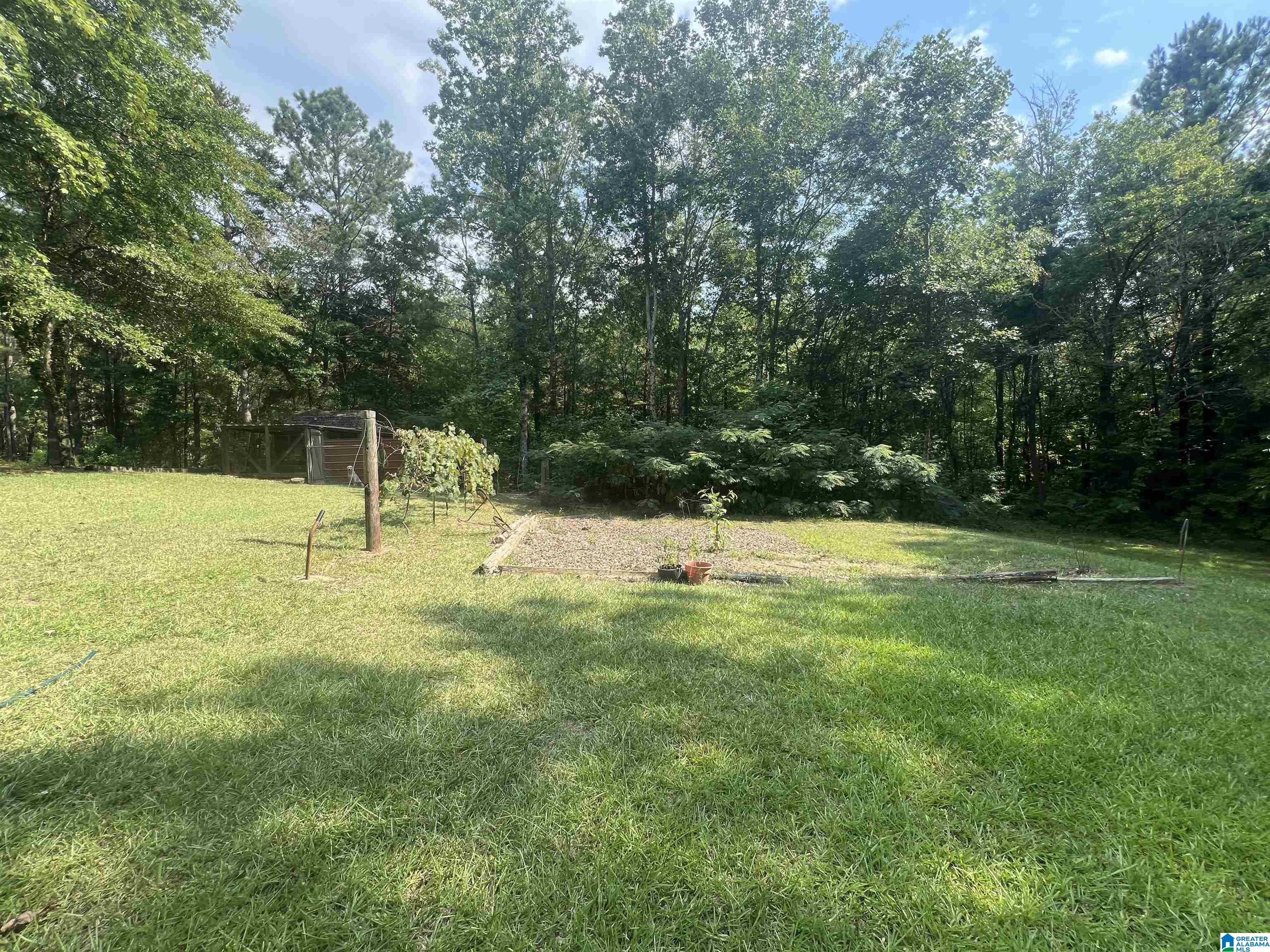 170 Arthur Drive Ohatchee, AL 36271 - Photo 3 of 15