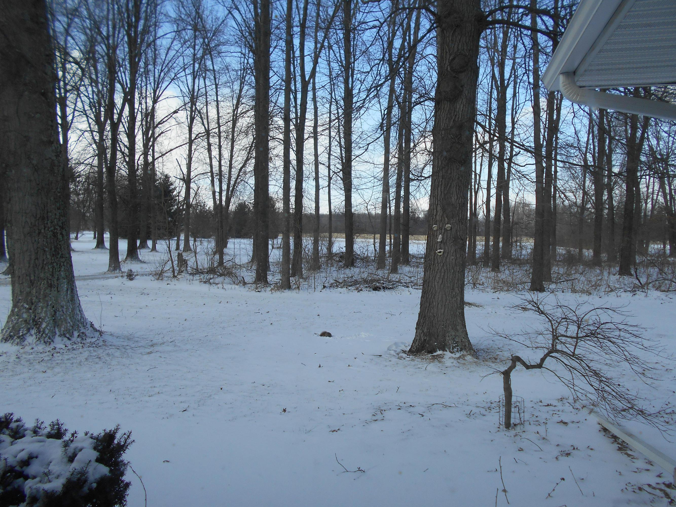 1811 Bunty Station Road Delaware, OH 43015 - Photo 29 of 29 Gallery Image 29