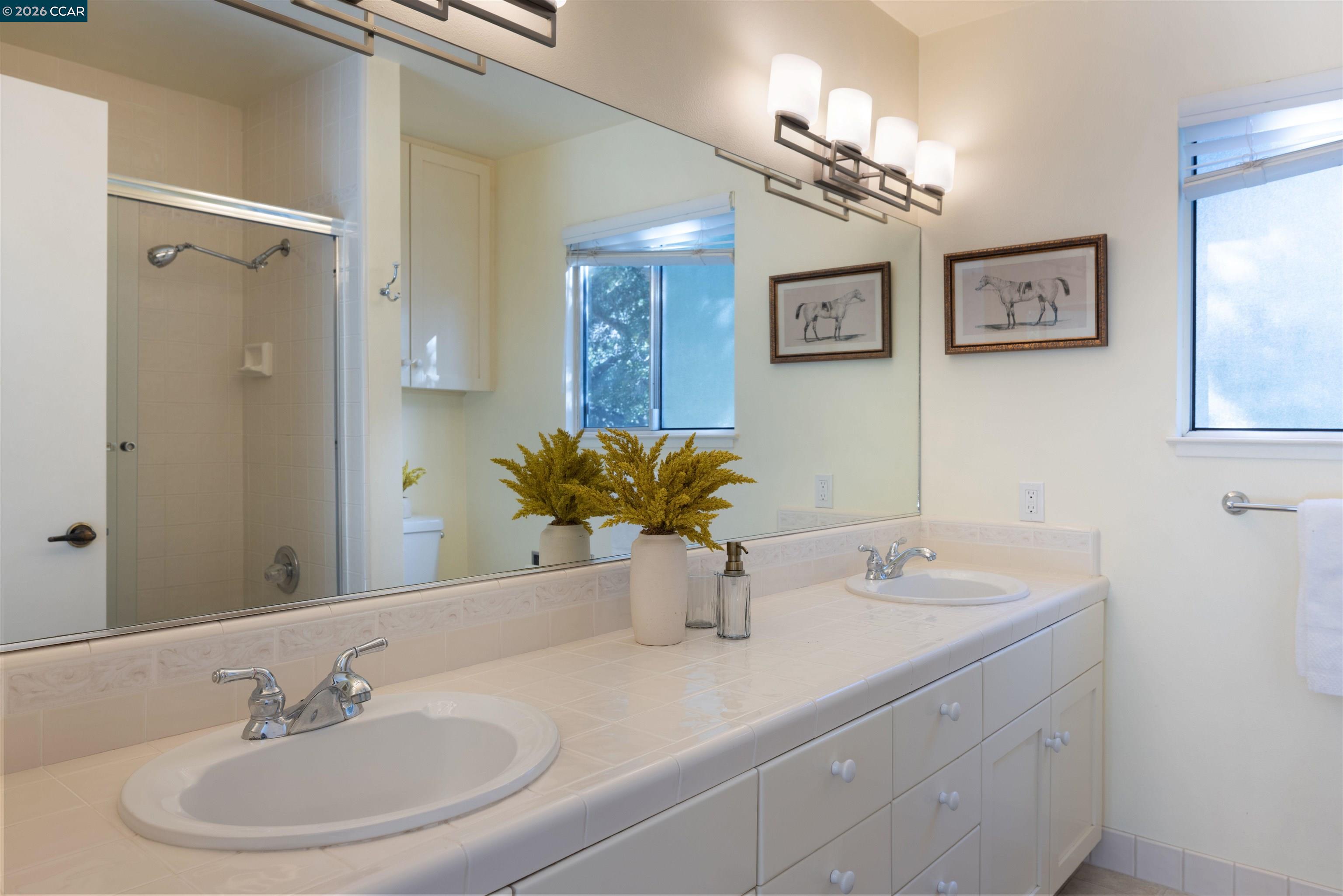 12 Marquard Road Carmel Valley, CA 93924 - Photo 23 of 36 a bathroom with a sink a light fixture and a mirror