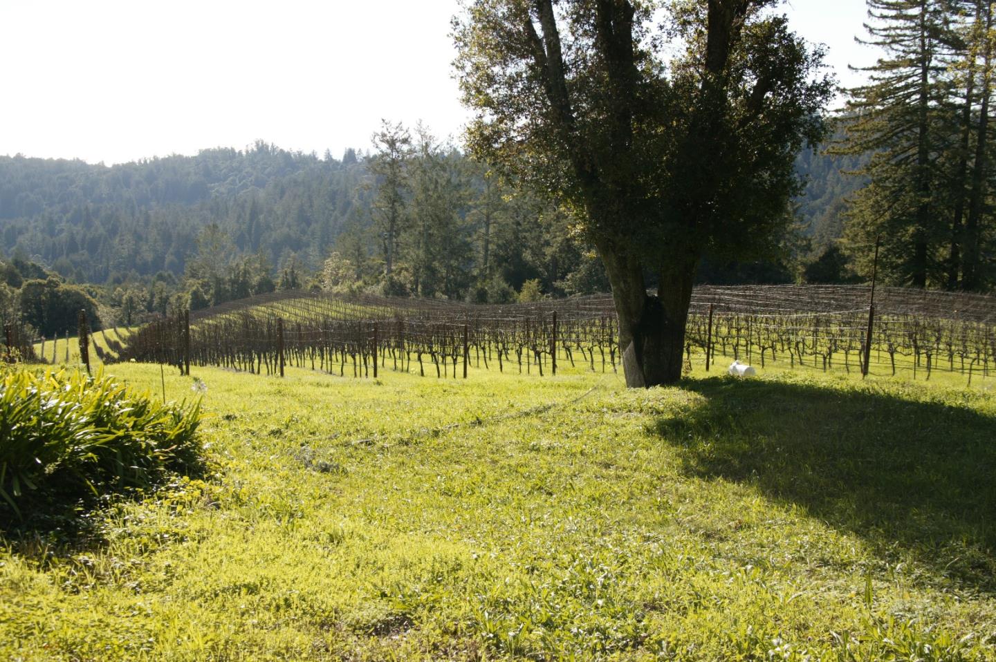 2955 Fern Flat Road Aptos, CA 95003 - Photo 1 of 1 Gallery Image 1