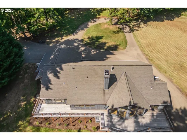 a view of a yard with plants