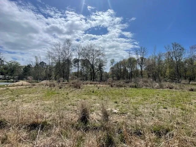 $400 | Undisclosed Address, Tickfaw, LA 70466