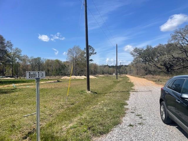 16248 Buddy D Lane Tickfaw, LA 70466 - Photo 5 of 6