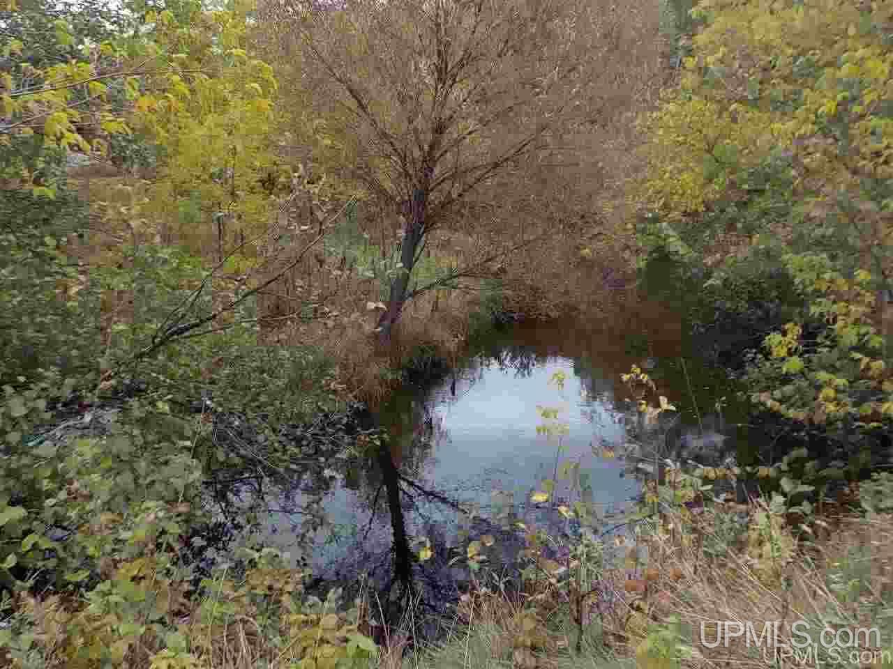 105 Park City Road Amasa, MI 49903 - Photo 2 of 33