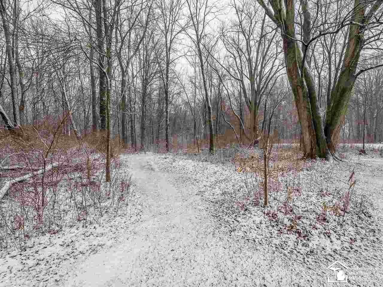 2187 West Dean Road Temperance, MI 48182 - Photo 4 of 19