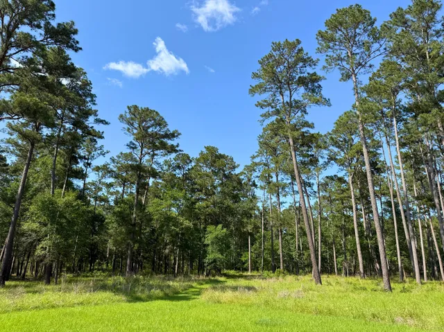 $2,145,000 | 0 Fm 1791, Richards, TX 77873