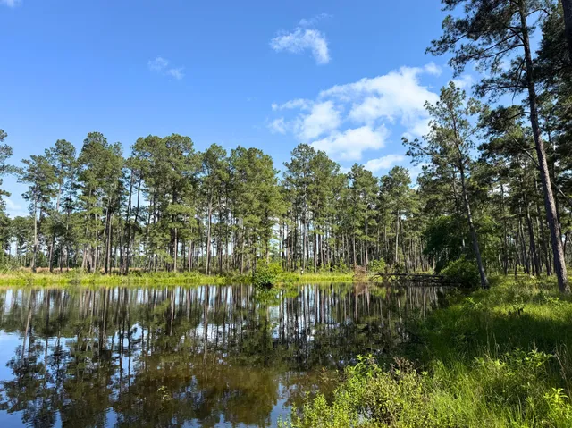 $2,145,000 | 0 Fm 1791, Richards, TX 77873