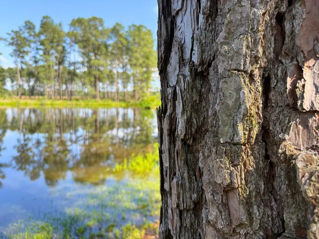 $2,145,000 | 0 Fm 1791, Richards, TX 77873