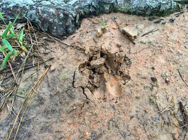 $2,145,000 | 0 Fm 1791, Richards, TX 77873