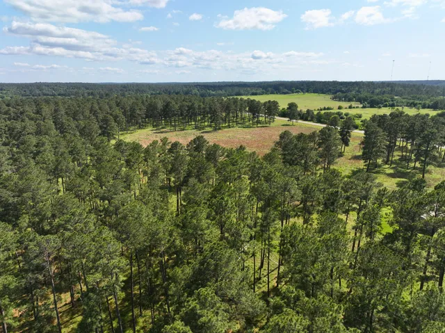 $2,145,000 | 0 Fm 1791, Richards, TX 77873