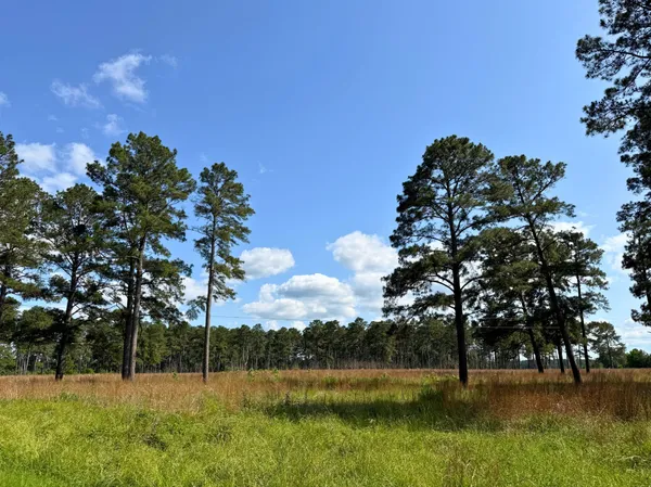 $2,145,000 | 0 Fm 1791, Richards, TX 77873
