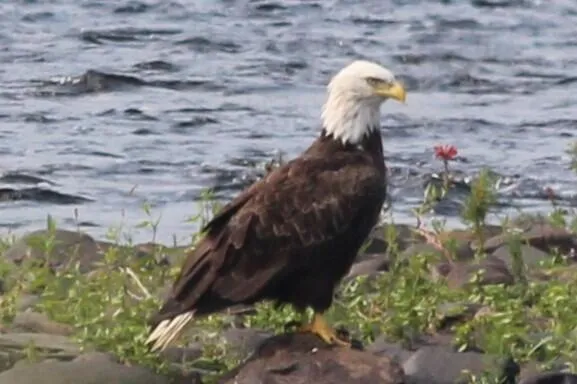 $235,000 | 132 Front Street, Old Town, ME 04468