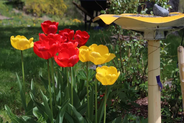 $235,000 | 132 Front Street, Old Town, ME 04468