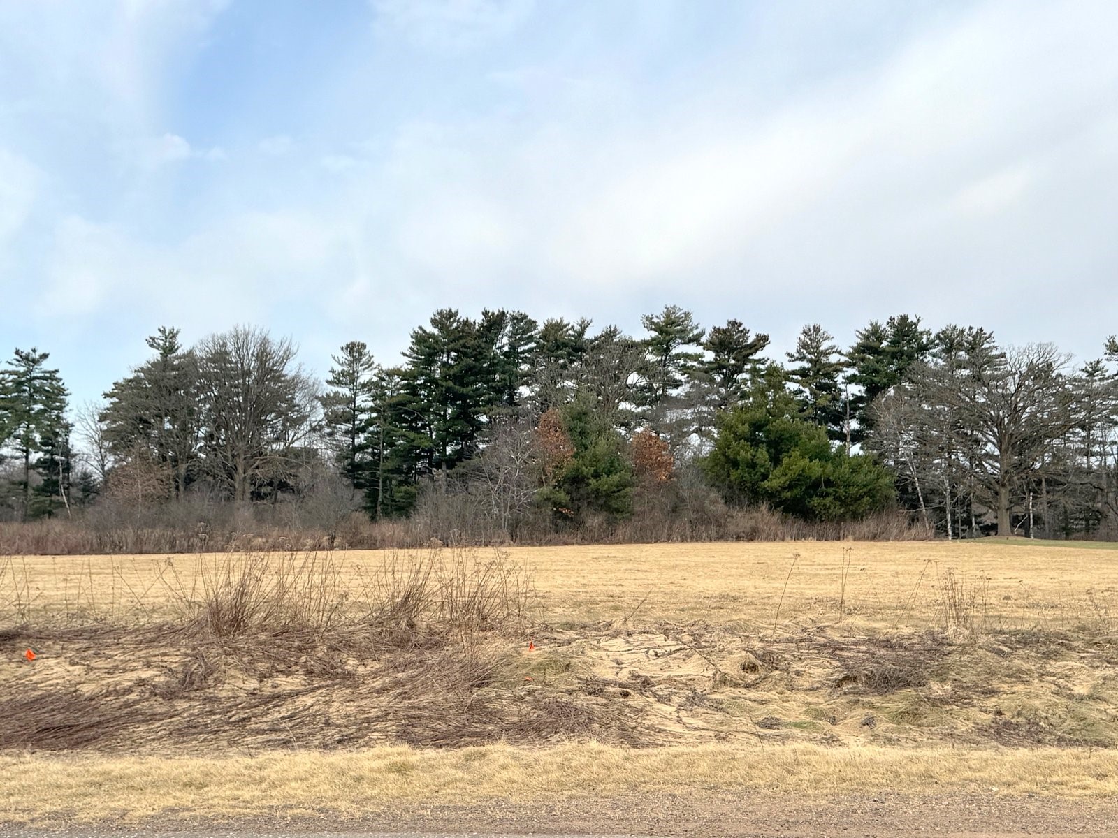 Lot 2 21st Street Rice Lake, WI 54868 - Photo 3 of 7