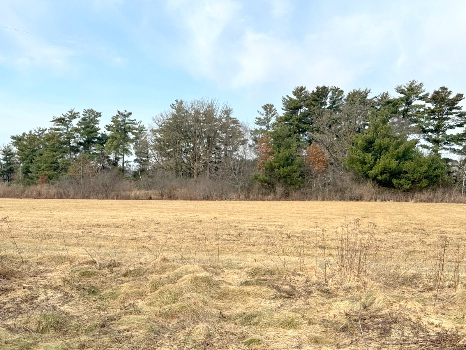 Lot 2 21st Street Rice Lake, WI 54868 - Photo 4 of 7