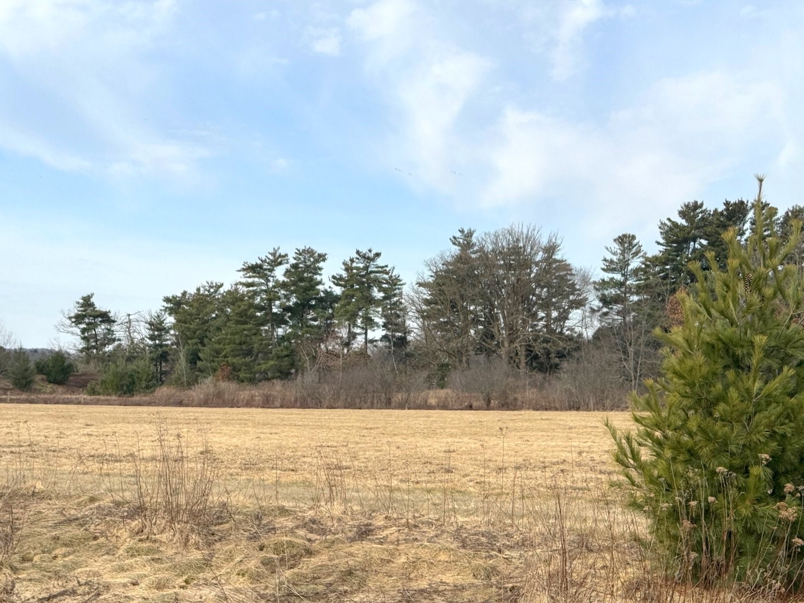 Lot 2 21st Street Rice Lake, WI 54868 - Photo 5 of 7