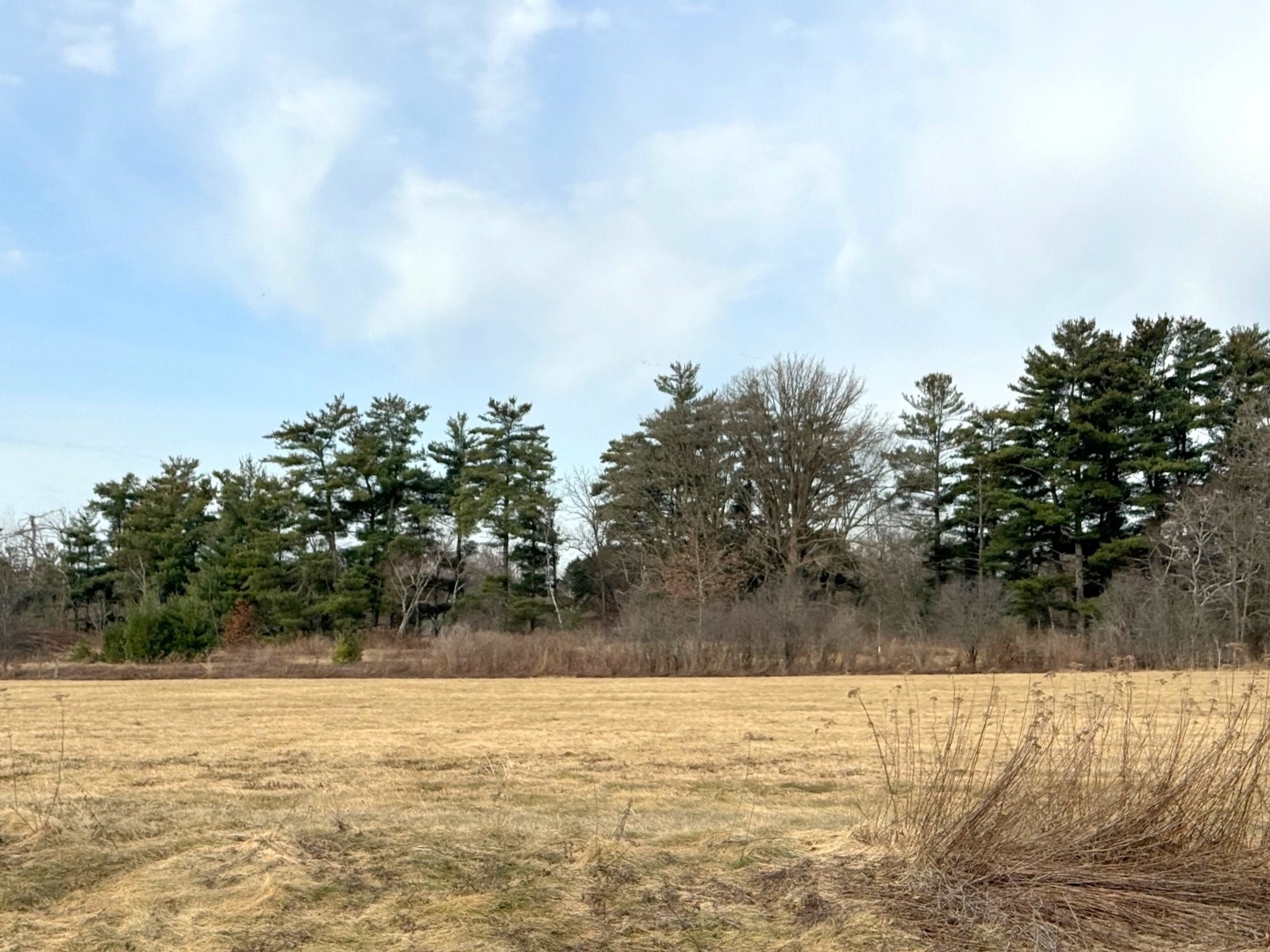 Lot 2 21st Street Rice Lake, WI 54868 - Photo 6 of 7