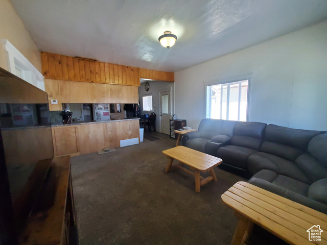 666 Grant Street Montpelier, ID 83254 - Photo 4 of 17