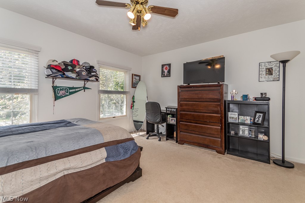 33065 Cedar Road Mayfield Heights, OH 44124 - Photo 17 of 29