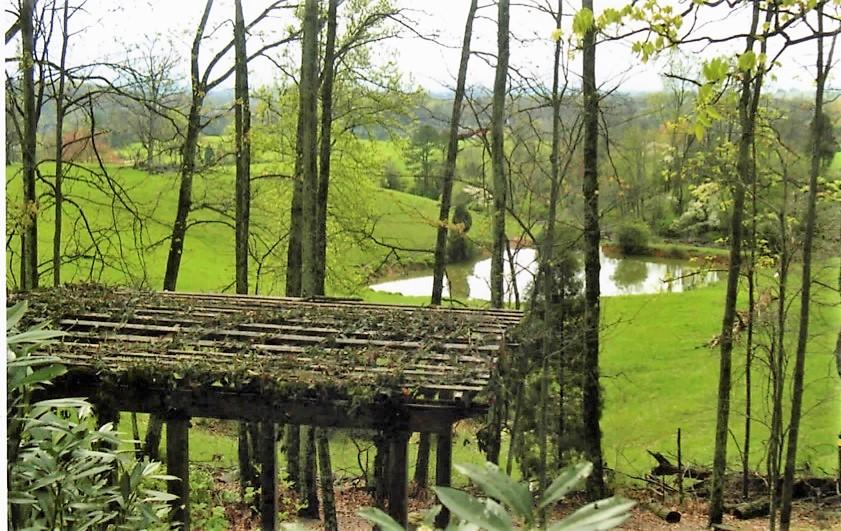12740 Long Ridge Road Knoxville, TN 37934 - Photo 36 of 38 Pergola and pond