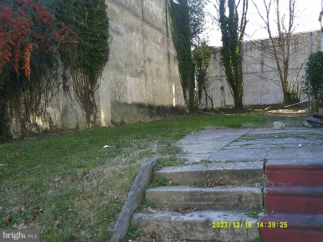 a view of a yard with large trees