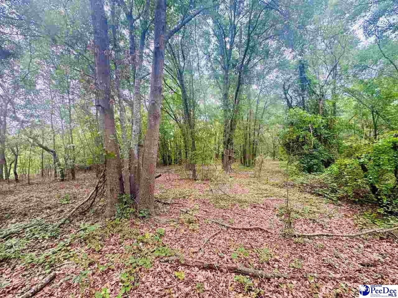 Skeeter Lane McColl, SC 29570 - Photo 10 of 23 Gallery Image 10