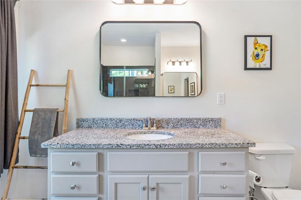 225 Hamrick Road Bremen, GA 30110 - Photo 20 of 61 a bathroom with a granite countertop sink a mirror and a